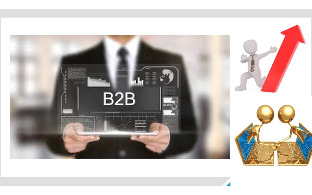 Guida Completa per Creare un Sito B2B di Successo